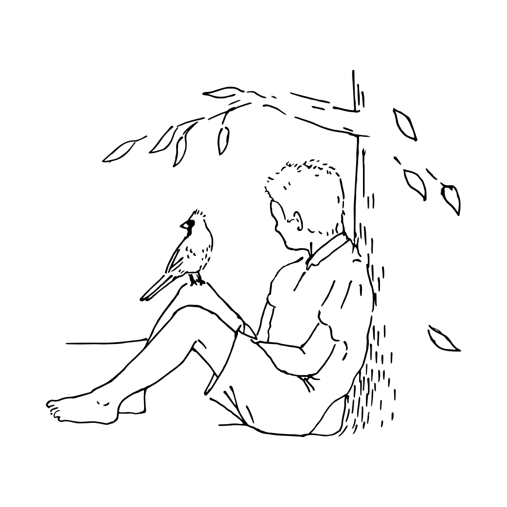 boy and bird